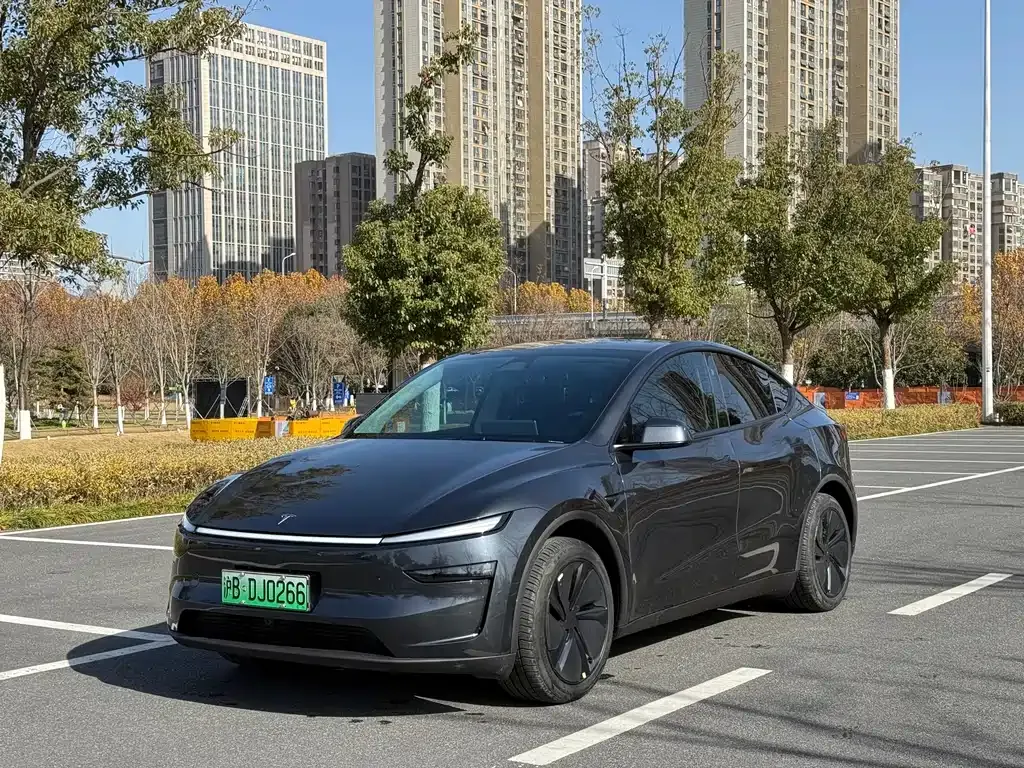 Tesla Model Y 2025 из CN, фото 1