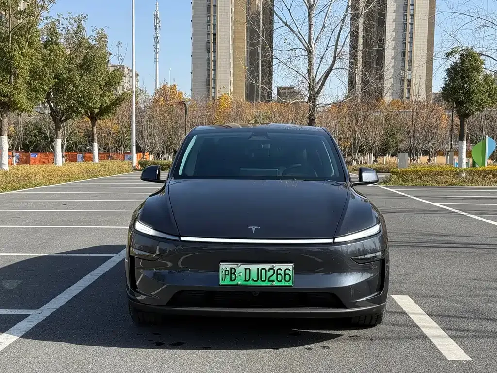 Tesla Model Y 2025 из CN, фото 9
