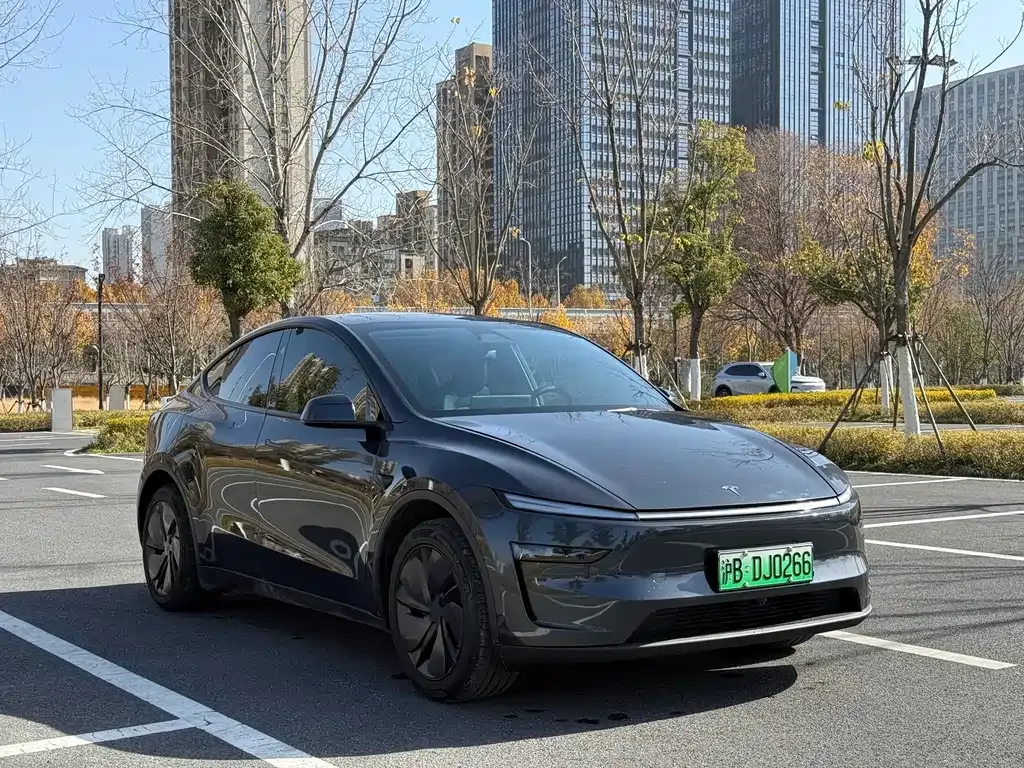 Tesla Model Y 2025 из CN, фото 3