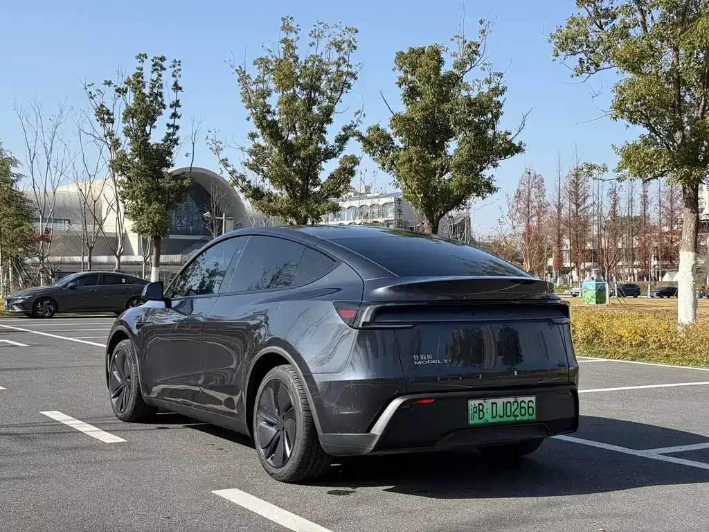 Tesla Model Y 2025 из CN, фото 8