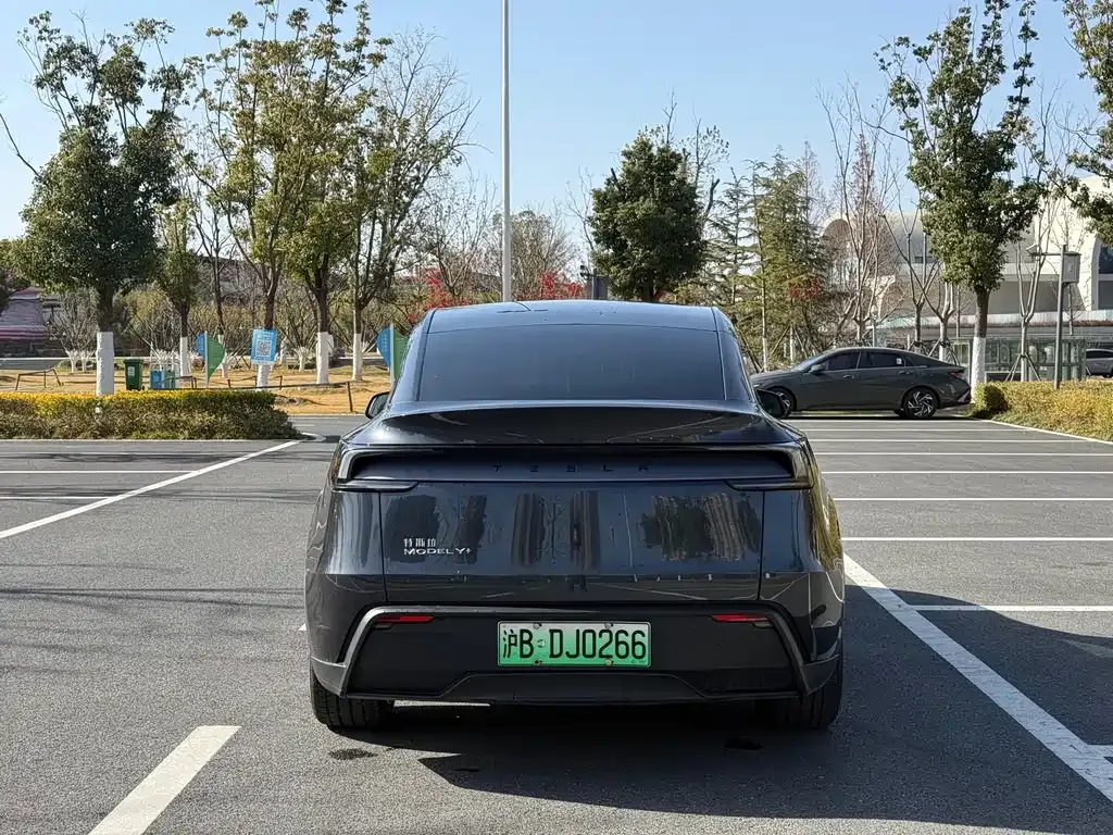 Tesla Model Y 2025 из CN, фото 7
