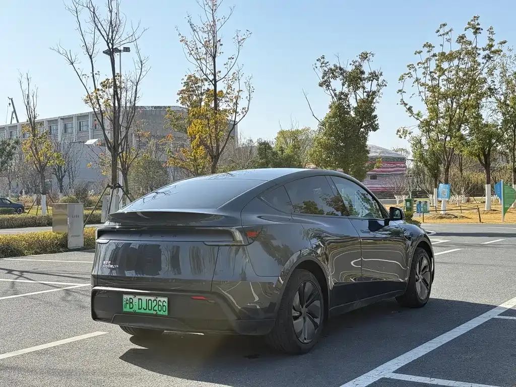 Tesla Model Y 2025 из CN, фото 6