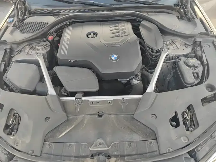 BMW 5 Series 2021 из CN, фото 10