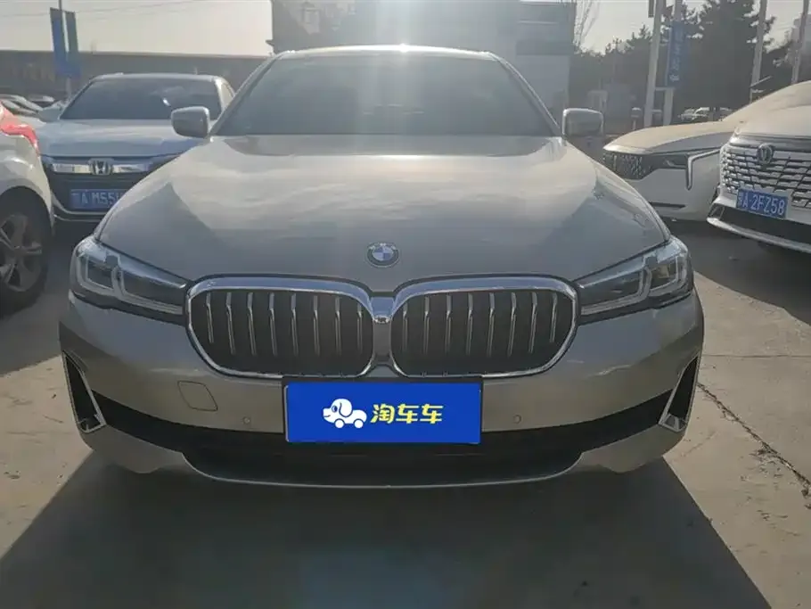 BMW 5 Series 2021 из CN, фото 3