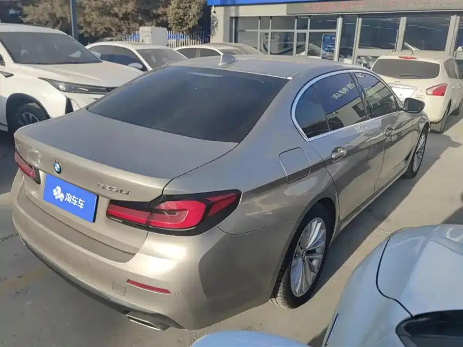BMW 5 Series 2021 из CN, фото 7