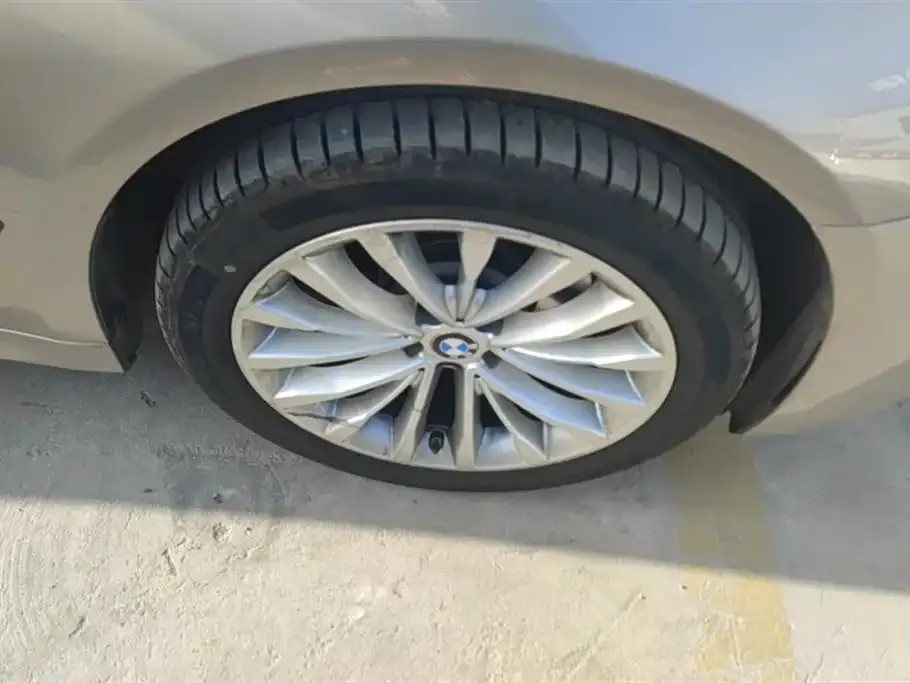 BMW 5 Series 2021 из CN, фото 4