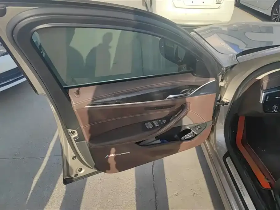 BMW 5 Series 2021 из CN, фото 5