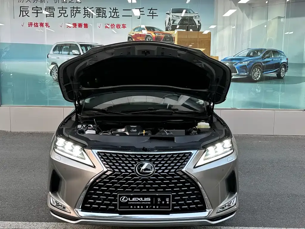 Lexus RX 2022 из CN, фото 8