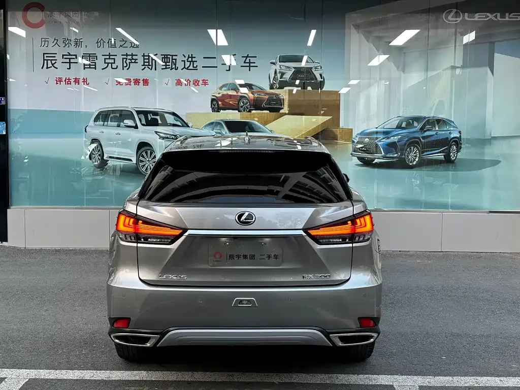 Lexus RX 2022 из CN, фото 6