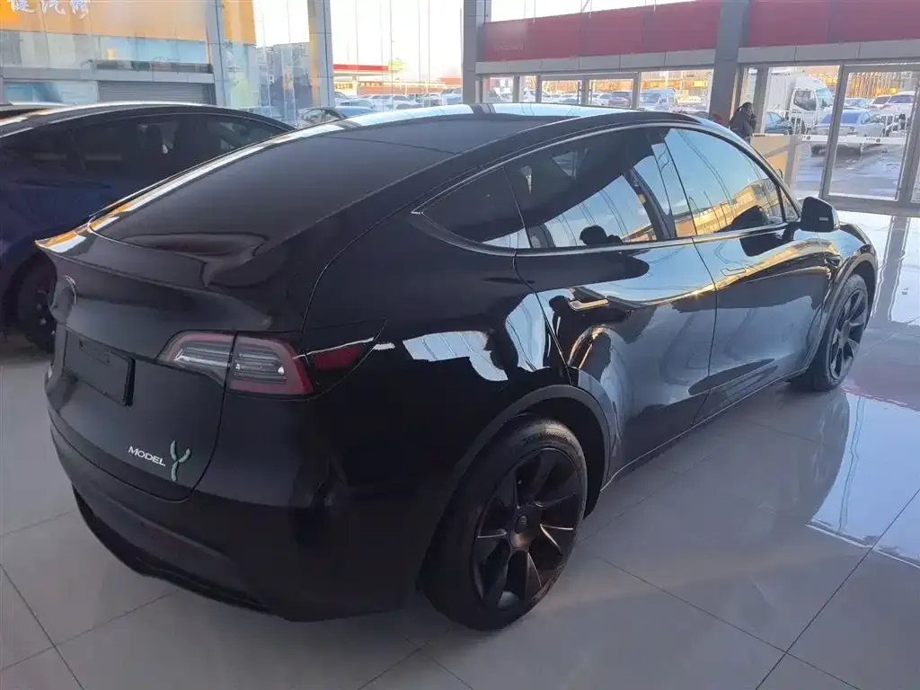 Tesla Model Y — фото 10