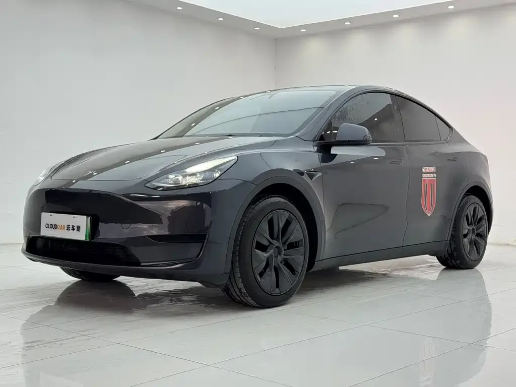 Tesla Model Y — фото 1
