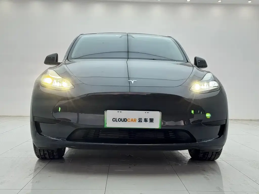 Tesla Model Y — фото 2