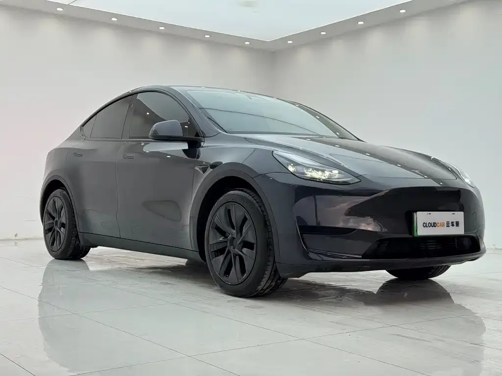 Tesla Model Y — фото 5
