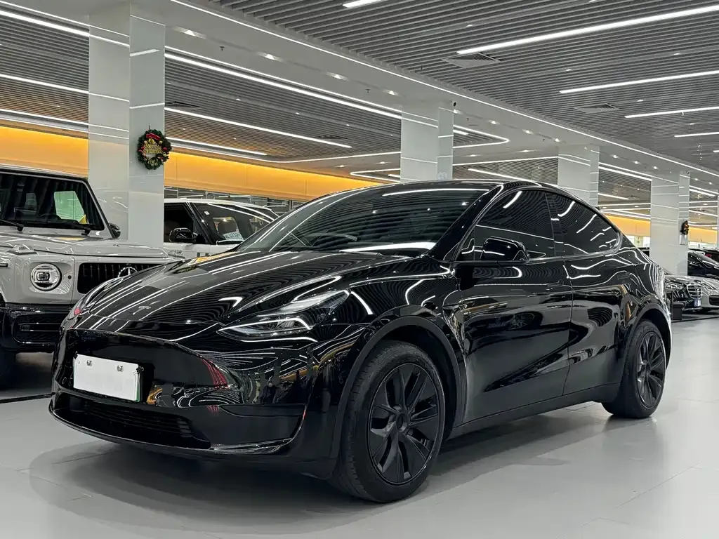 Tesla Model Y — фото 1