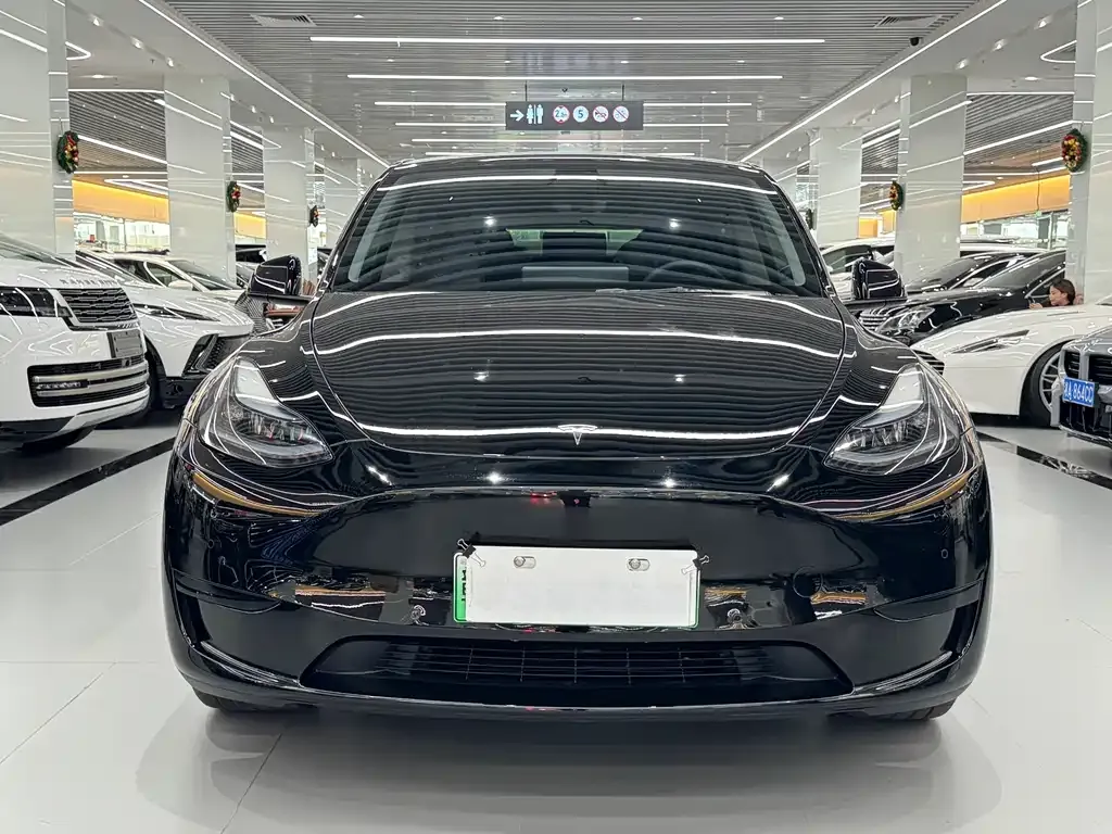 Tesla Model Y — фото 6