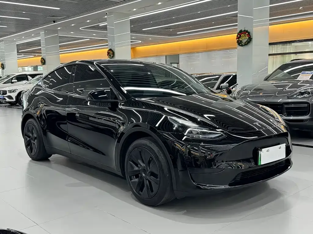 Tesla Model Y — фото 8