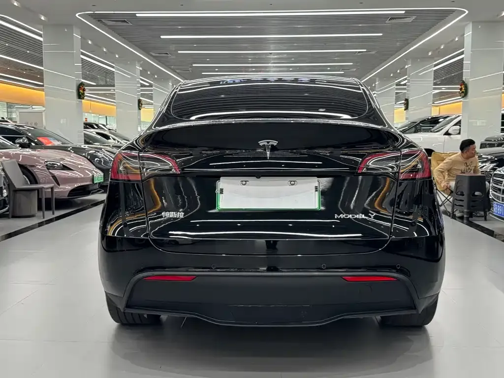 Tesla Model Y — фото 4
