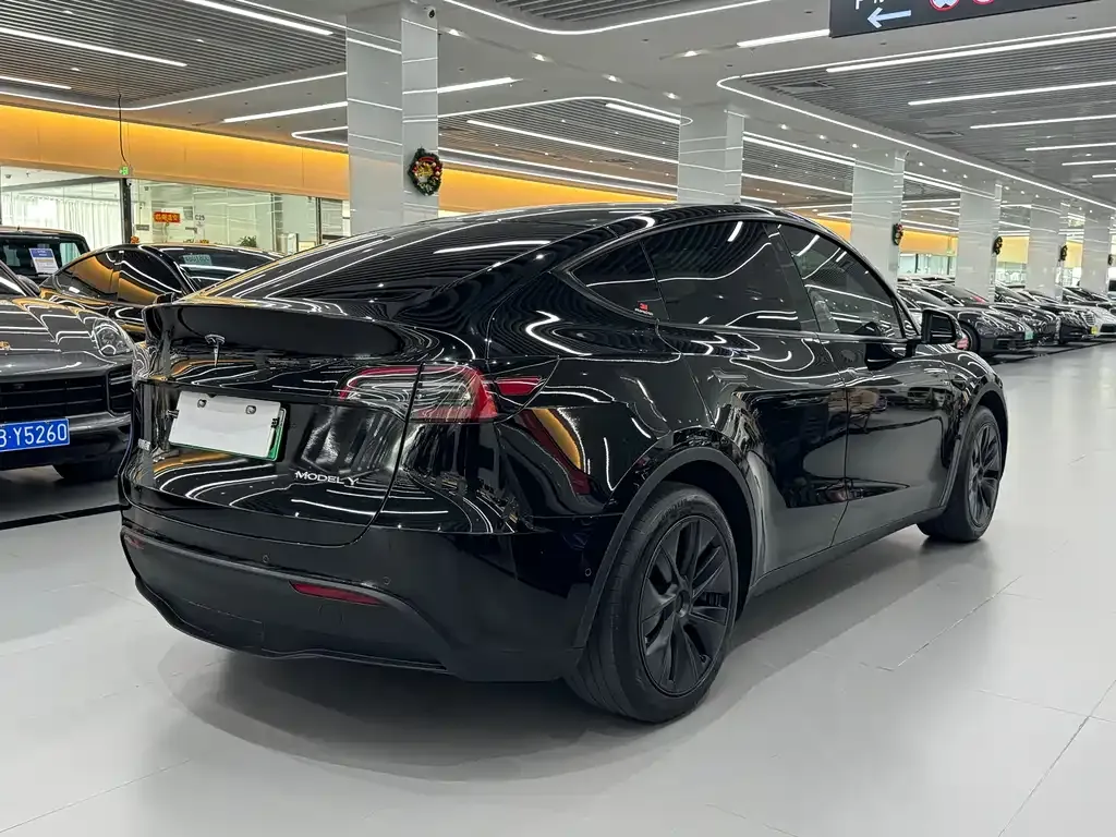 Tesla Model Y — фото 9