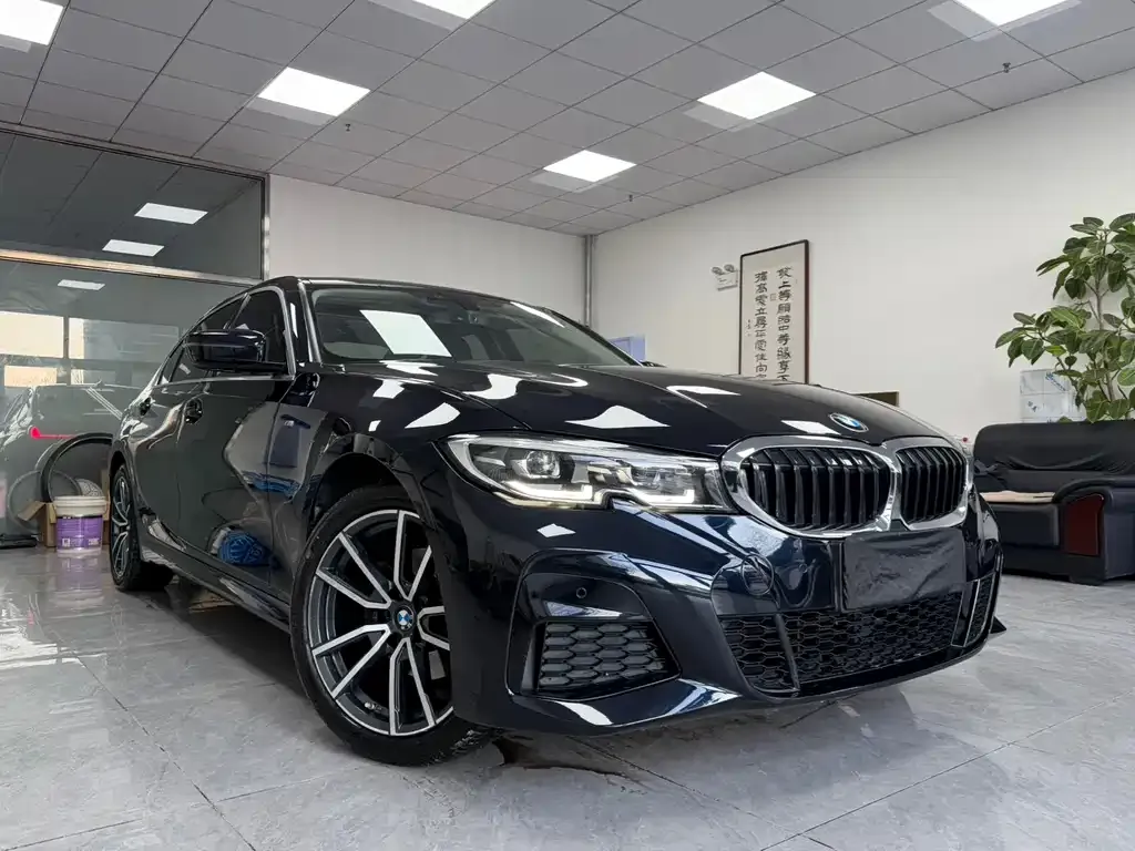 BMW 3 Series 2022 из CN, фото 6