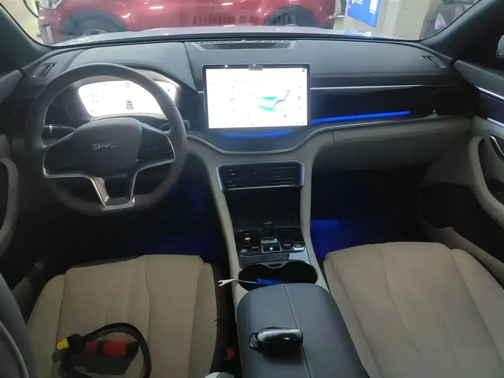 BYD PLUS New Energy — фото 10