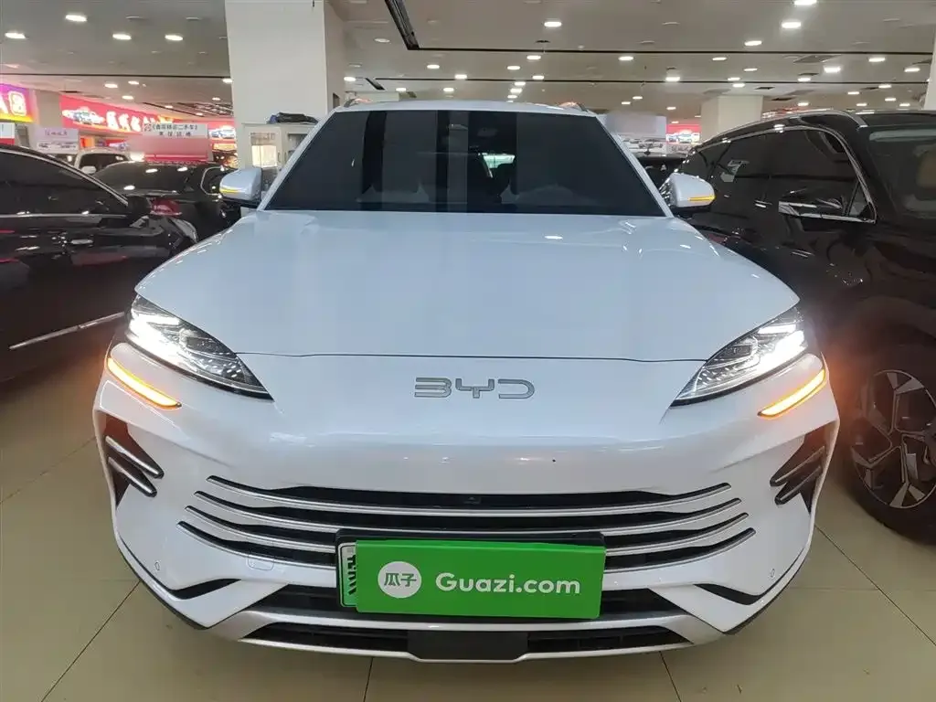 BYD PLUS New Energy — фото 3