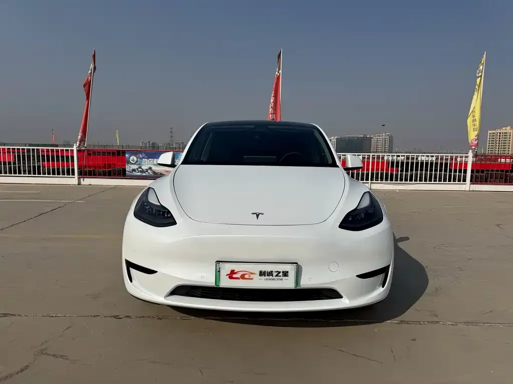 Tesla Model Y — фото 1