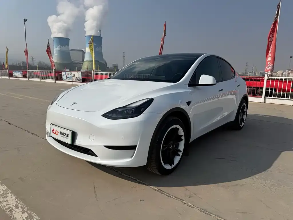 Tesla Model Y — фото 9