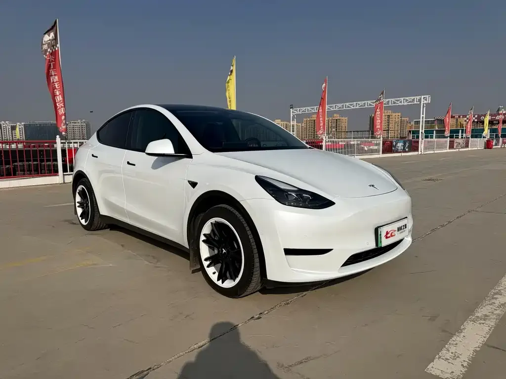 Tesla Model Y — фото 2