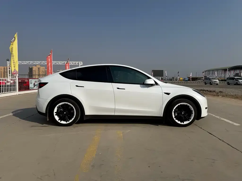 Tesla Model Y — фото 6