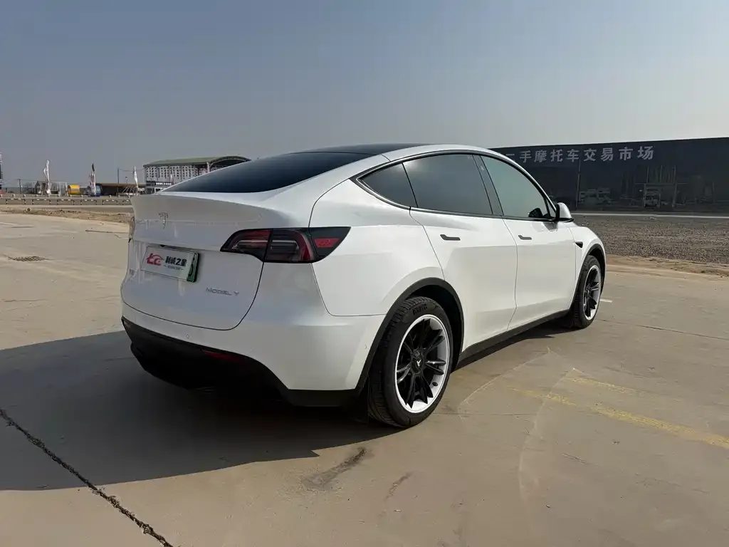 Tesla Model Y — фото 3