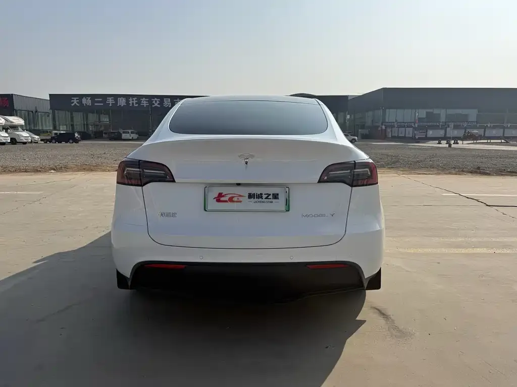 Tesla Model Y — фото 8
