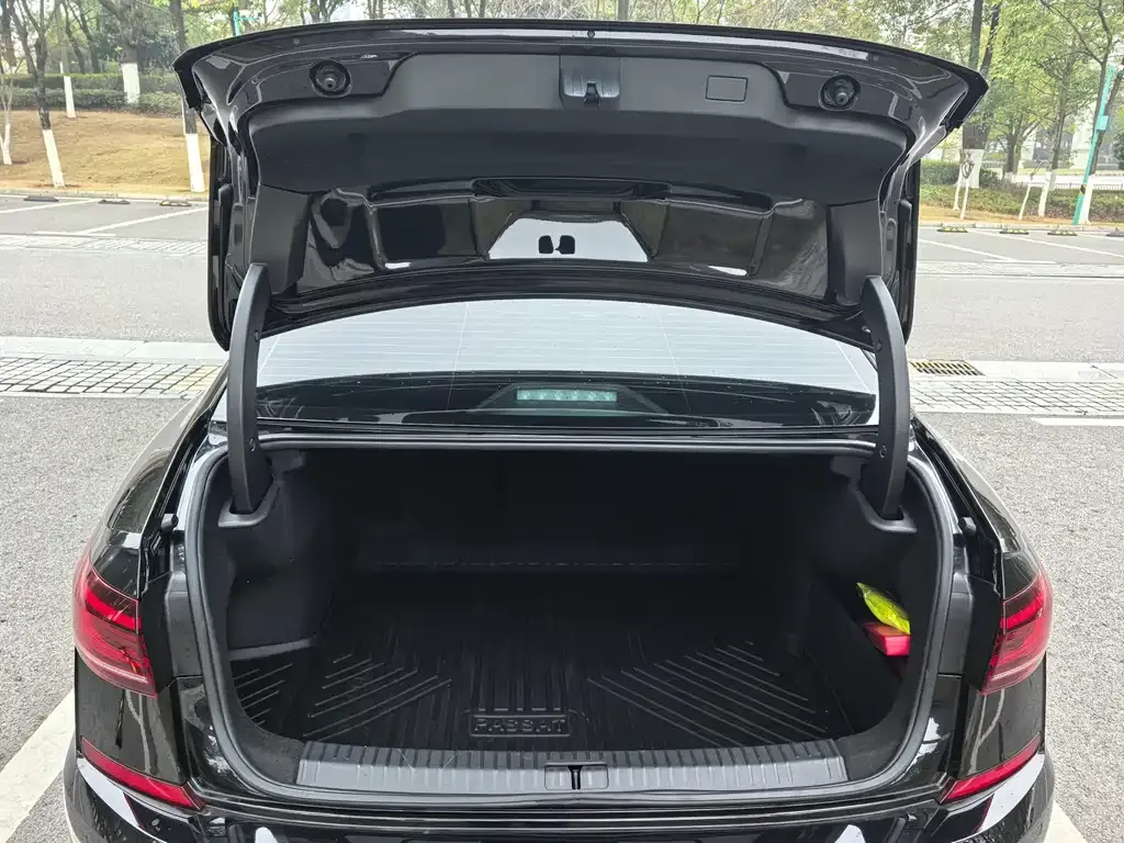 Volkswagen Passat 2024 из CN, фото 2