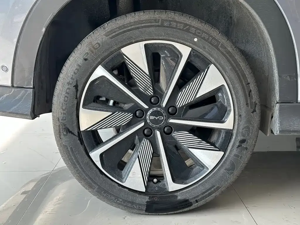BYD PLUS New Energy 2025 из CN, фото 10