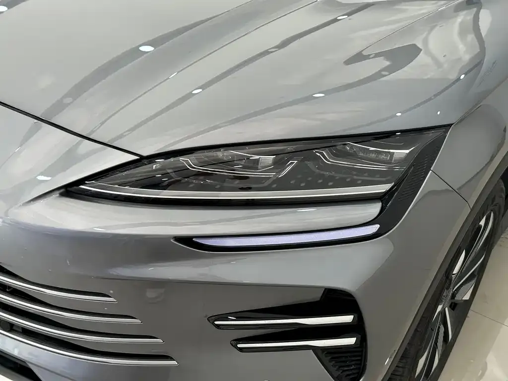 BYD PLUS New Energy 2025 из CN, фото 3