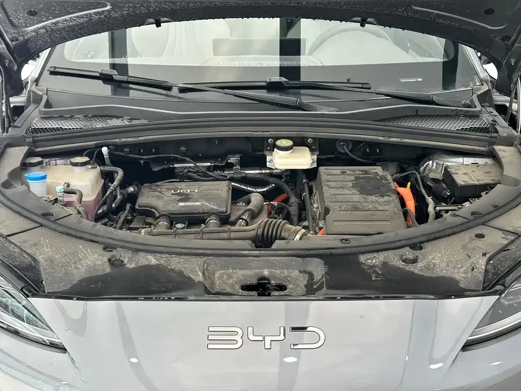 BYD PLUS New Energy 2025 из CN, фото 4