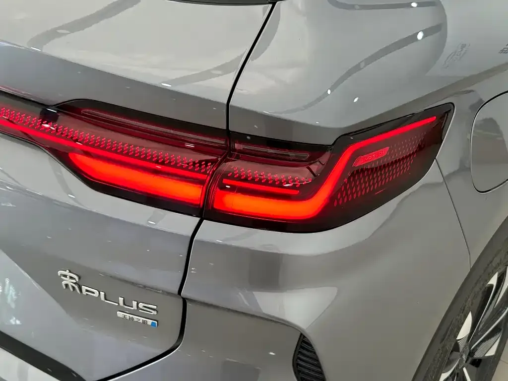 BYD PLUS New Energy 2025 из CN, фото 6