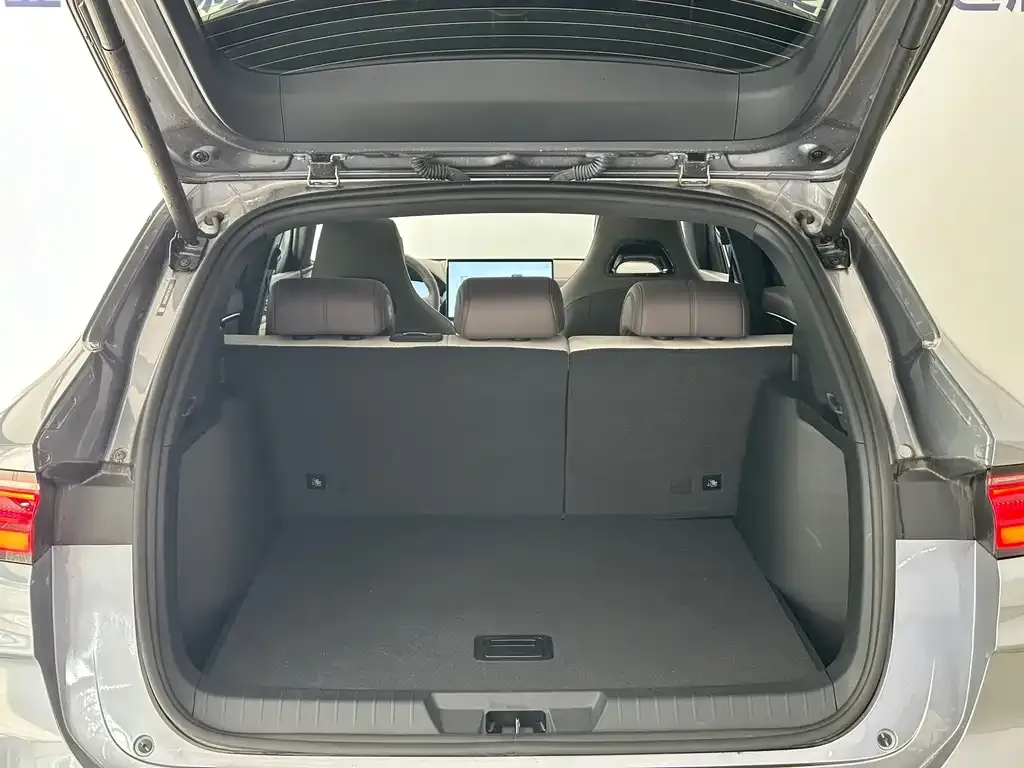 BYD PLUS New Energy 2025 из CN, фото 8