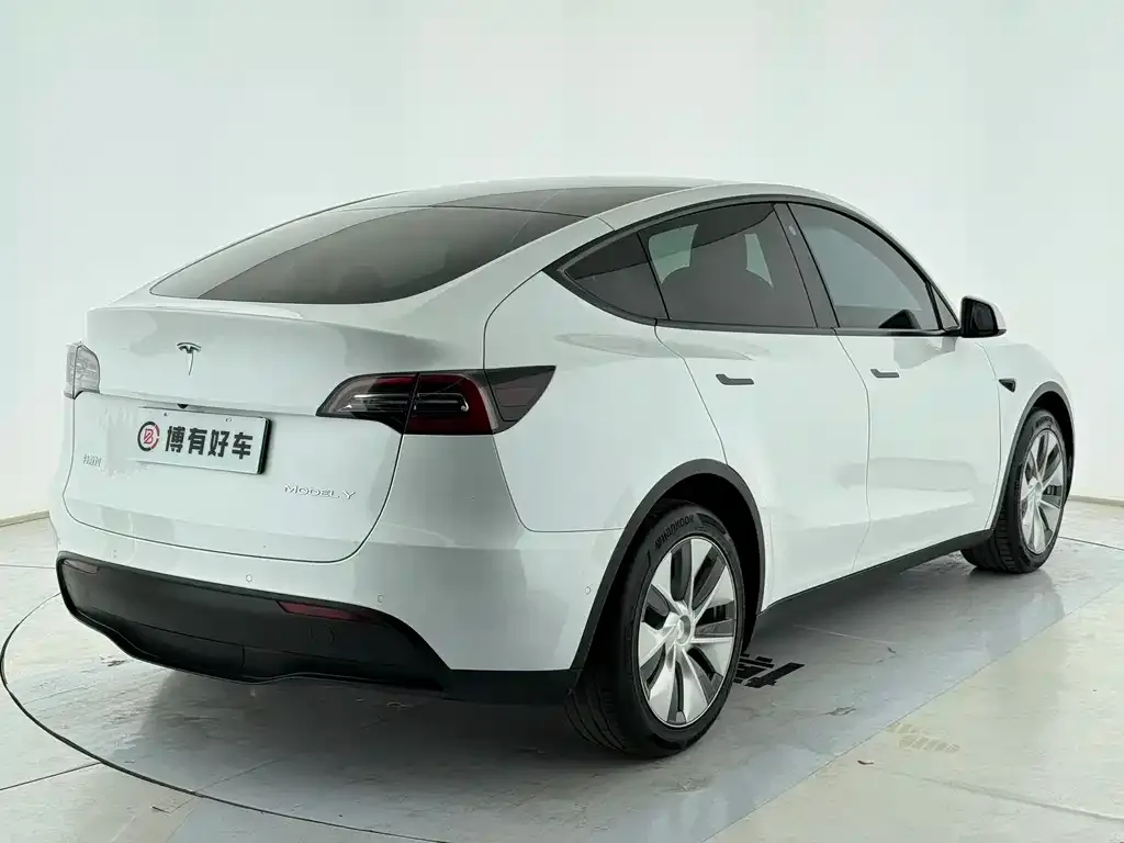 Tesla Model Y — фото 8