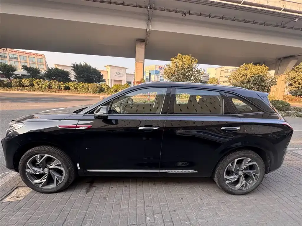 Hongqi HS3 PHEV 2024 из CN, фото 3