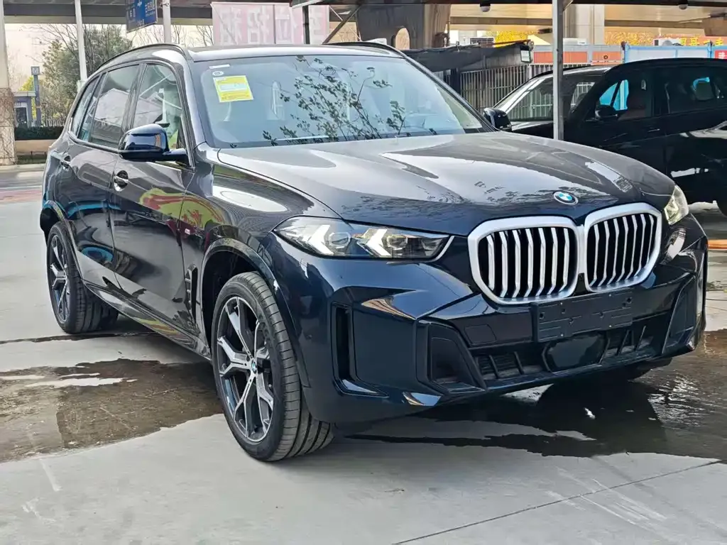 BMW X5 2026 из CN, фото 4