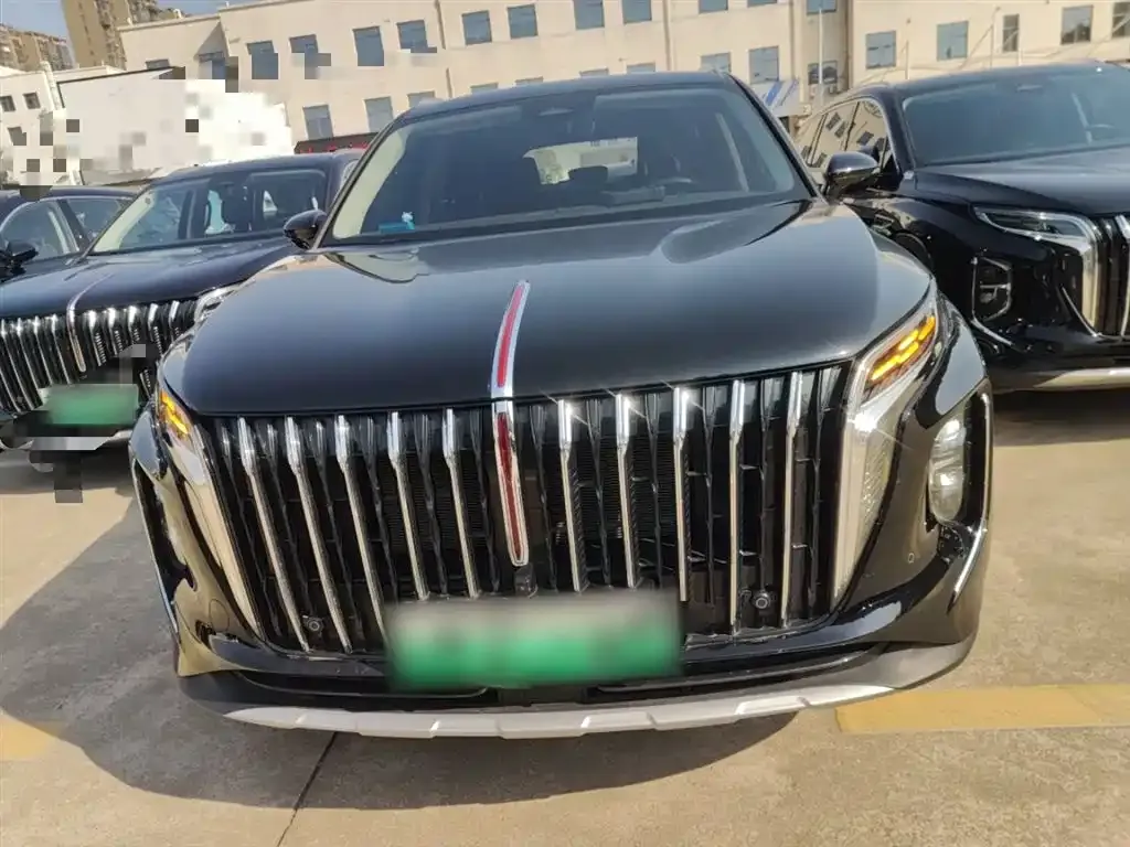 Hongqi HS7 PHEV 2024 из CN, фото 8