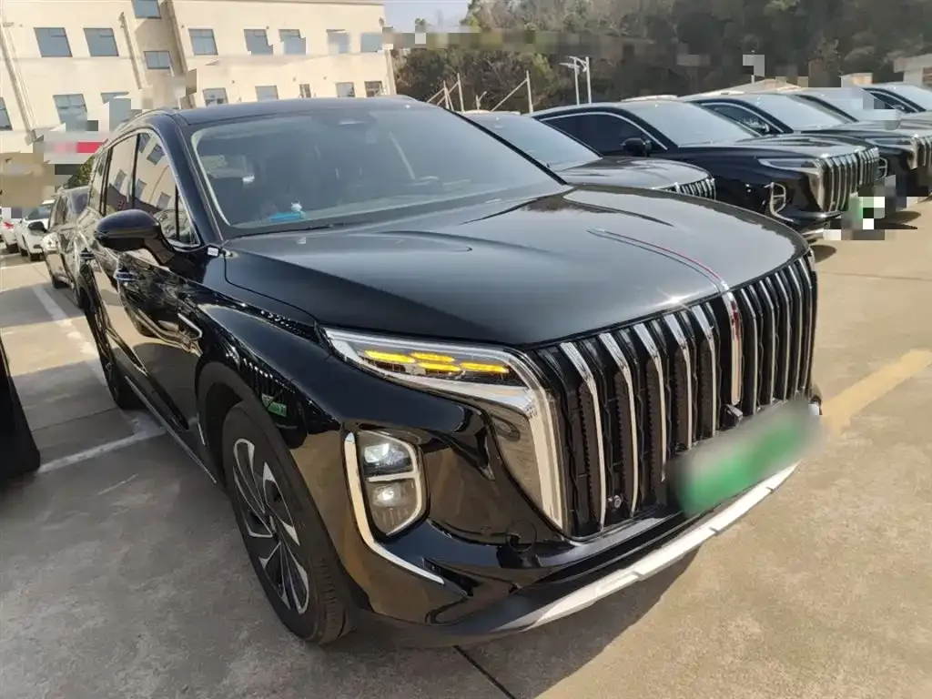 Hongqi HS7 PHEV 2024 из CN, фото 10