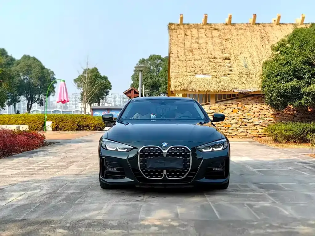 BMW 4 Series 2023 из CN, фото 9