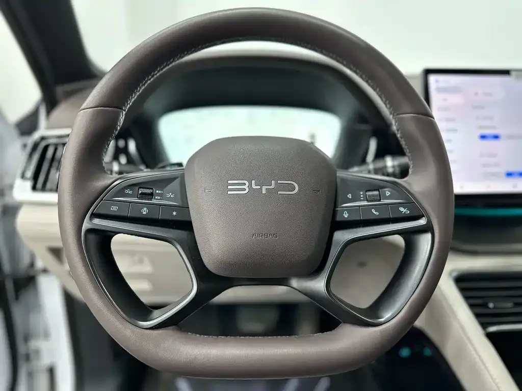 BYD PLUS New Energy — фото 4