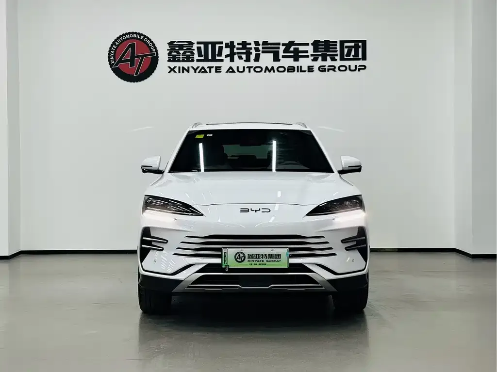 BYD PLUS New Energy — фото 10