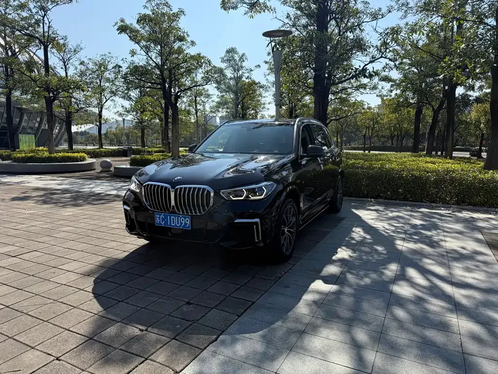 BMW X5 2022 из CN, фото 1