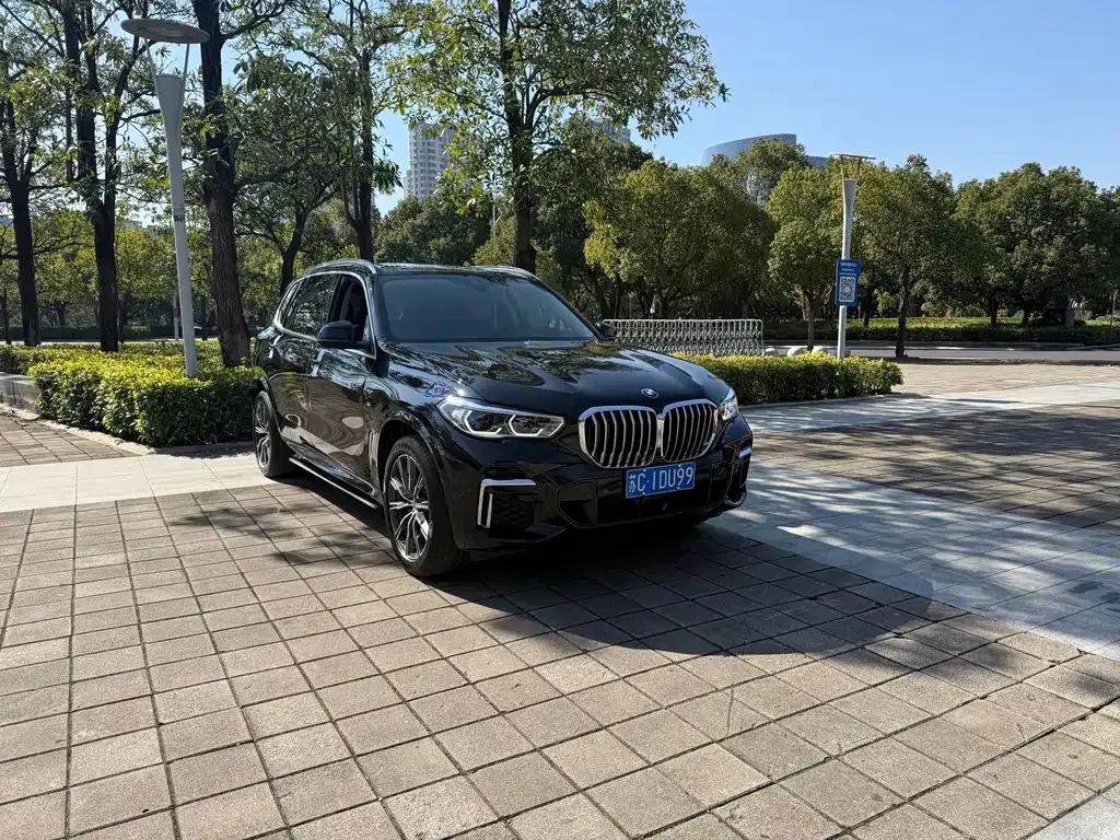 BMW X5 2022 из CN, фото 6