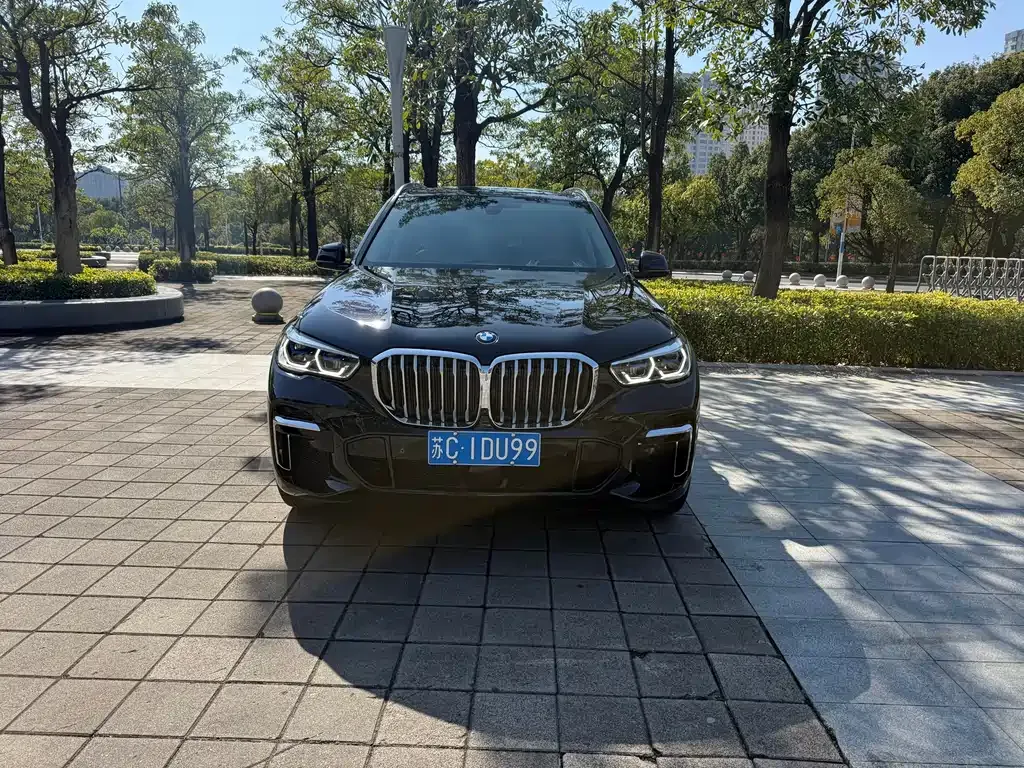 BMW X5 2022 из CN, фото 9