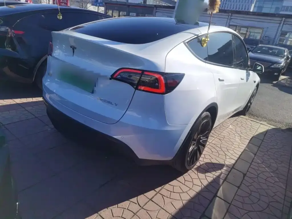 Tesla Model Y 2024 из CN, фото 9