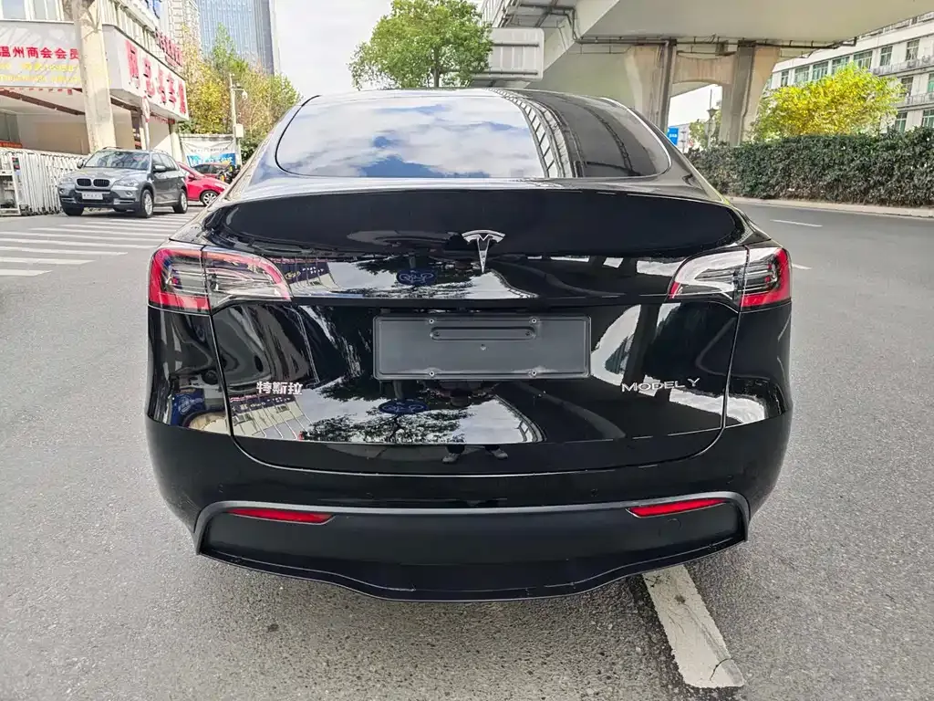 Tesla Model Y — фото 3